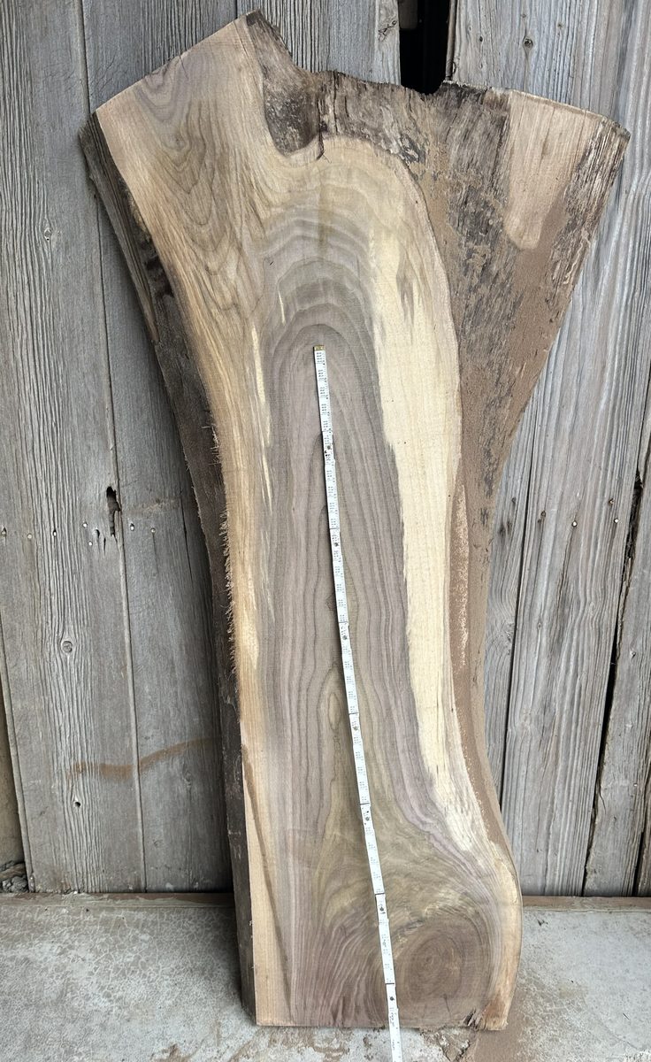 Large live-edge hardwood slab with ruler showing width — Vail Wood Products, Butler, Indiana