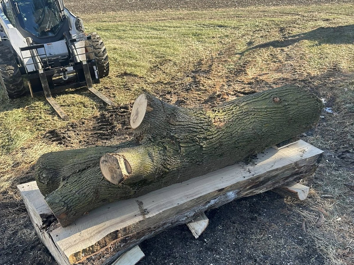 Large hardwood logs staged on pallets, ready to be custom-milled into lumber and timbers — Vail Wood Products